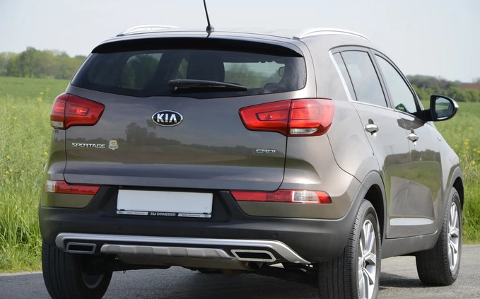 Kia Sportage cena 62500 przebieg: 89801, rok produkcji 2015 z Sompolno małe 781